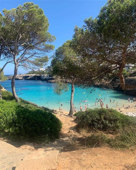 cala d'or reviews|Cala d'Or, Spain: All You Must Know Before You Go (2024).